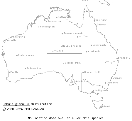 Kimberley granular-toed gecko (Gehyra granulum) distribution range map
