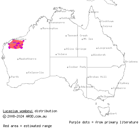 Pilbara ground gecko (Lucasium wombeyi) distribution range map