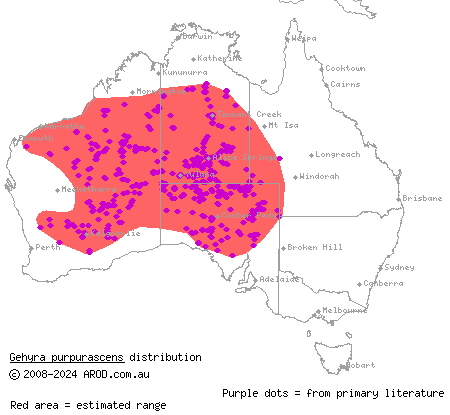 purplish dtella (Gehyra purpurascens) distribution range map