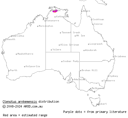 Jabiluka ctenotus (Ctenotus arnhemensis) distribution range map