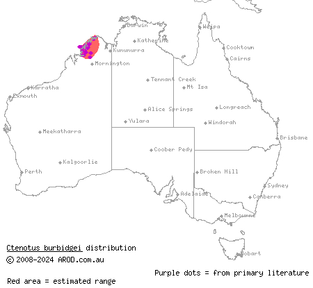 plain-backed Kimberley ctenotus (Ctenotus burbidgei) distribution range map