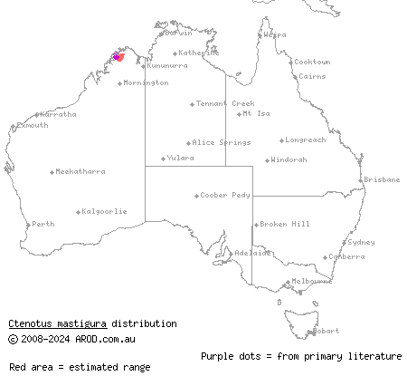 whiptail ctenotus (Ctenotus mastigura) distribution range map