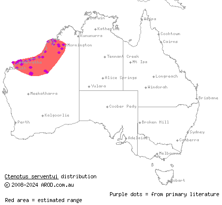 north-western sandy-loam ctenotus (Ctenotus serventyi) distribution range map