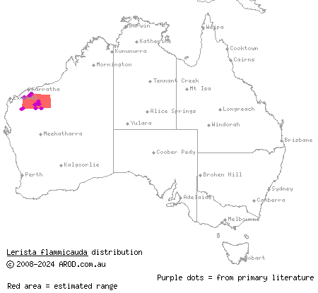 Pilbara flame-tailed slider (Lerista flammicauda) distribution range map