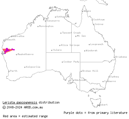 Gascoyne broad-blazed slider (Lerista gascoynensis) distribution range map