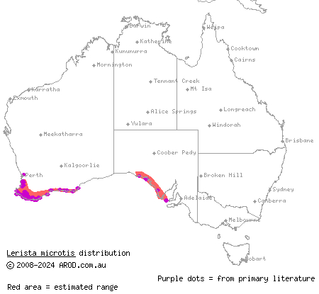 south-western slider (Lerista microtis) distribution range map