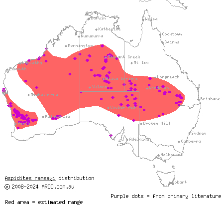 woma (Aspidites ramsayi) distribution range map