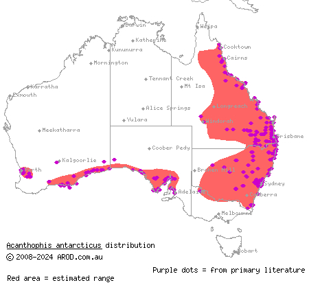 common death adder (Acanthophis antarcticus) distribution range map