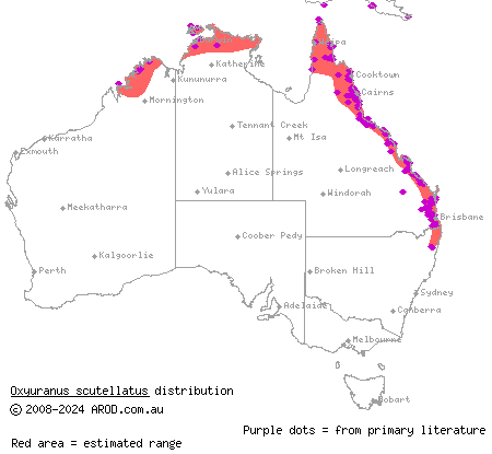 coastal taipan (Oxyuranus scutellatus) distribution range map