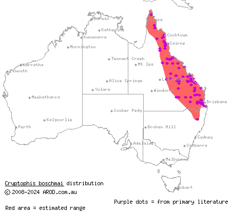 Carpentaria snake (Cryptophis boschmai) distribution range map