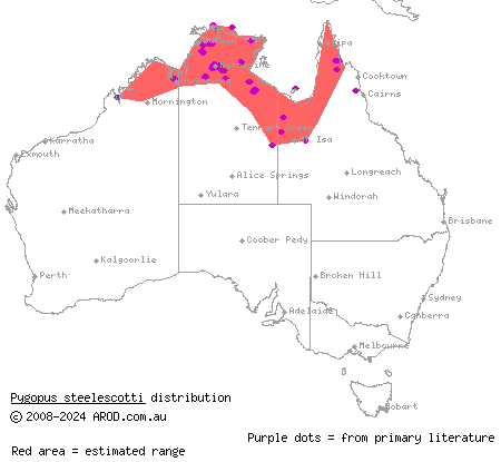 northern hooded scaly-foot (Pygopus steelescotti) distribution range map