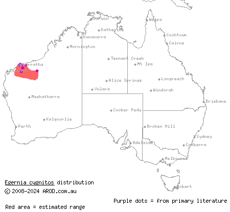 Western Pilbara spiny-tailed skink (Egernia cygnitos) distribution range map
