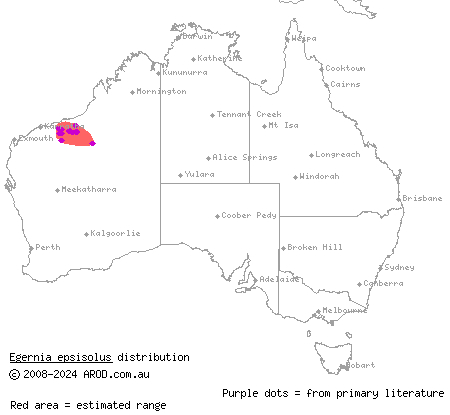 Eastern Pilbara spiny-tailed skink (Egernia epsisolus) distribution range map